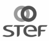 stef
